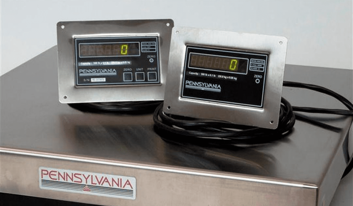 Industrial scale with two screens