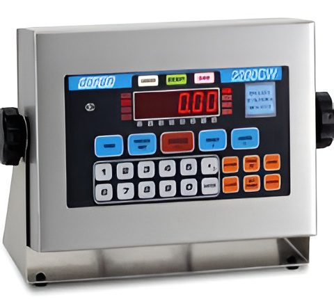 Electronic scale display and controls